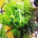 옥항아리보쌈 이미지