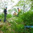 산중문답 이미지