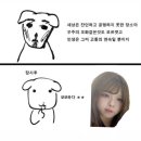 하루가다르개 | 모치론 모모하!!