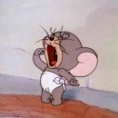 제리스토리 이미지