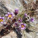 제장농장 이미지