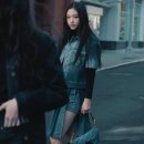 레이디올