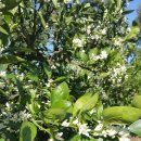 미성농장 이미지