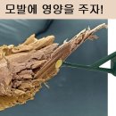 원킬클리닉