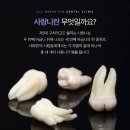 올바른김치과의원 이미지