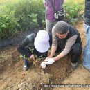 내방농장 이미지