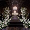 웨스턴베니비스 이미지