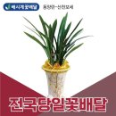 해시계꽃배달