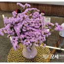 모세마취통증의학과의원 이미지