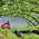 정읍시 농업기술센터 이미지