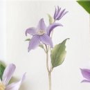 지안빌딩 이미지