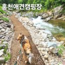 계곡이 있는 애견캠핑장 그자리야영장, 7/21-22 장마기간후기