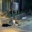 대학로6 | 혜화 연극데이트 [아루또] 10주년 기념 공연 <단편전>후기 대학로 연극 연극 에디션6