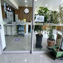 1004섬수석미술관 티스토리