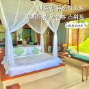 1504 | 나트랑 퓨전리조트 깜란 2베드룸 오션뷰 스위트 가족여행 숙소 추천