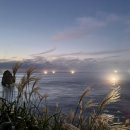 섬목 관음도 이미지