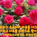 천둥소리 Daum카페