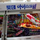 조개왕 네이버블로그