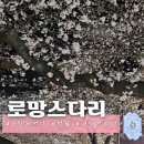 지에스(GS)25 진해벚꽃로망스점 | [진해] 군항제 여좌천 야경, 개막 전날 밤 분위기 (로망스다리 벚꽃 조명 후기)