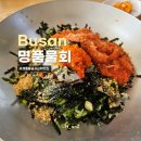 명품 | 해동용궁사근처맛집 기장 명품물회 솔직후기