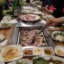 황금오리셋 이미지