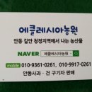 길안청송로(길안면) 이미지
