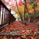 동구리호수공원잔디광장 이미지