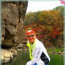 나, 비야 이미지