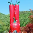 송죽 Daum카페