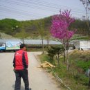 유한사슴농장 이미지