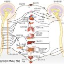 원욱빌딩 Daum카페