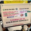 마라홀릭마라탕송산점 | 용인 수지구청 마라탕 맛집 마라홀릭 마라탕 방문 솔직후기/내돈내산