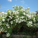 사계절농장 이미지