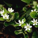 생태와 기후변화이야기 이미지