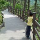 오감연결길 이미지