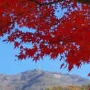 계룡산둘레길 이미지