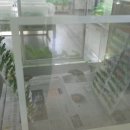 나비부화장 이미지