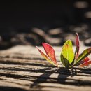 맑은 물, 깨끗한 지구 이미지