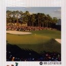 대지-2010 이미지