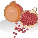 석류모텔 이미지