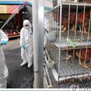 경종농장 이미지