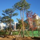 옥빛초등학교 이미지