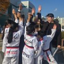 정무일도태권도 이미지