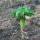 양동농장 이미지