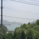 갈망개 민박 이미지