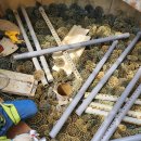 주식회사현창 이미지