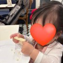 애슐리 키위 축제 방문 후기 이마트 서수원점 애슐리 ✨ 아기랑 첫 애슐리
