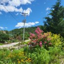 예쁜연못집 민박 이미지