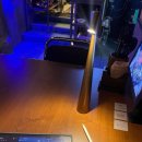 악동강아지 | 데굴데굴 8 ♾️ 8 ♾️ • •