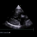 동우메디칼 이미지